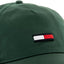 Tommy Jeans Men's TJM Elongated Flag Cap, Green (Tahoe Forest), OS