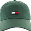 Tommy Jeans Men's TJM Elongated Flag Cap, Green (Tahoe Forest), OS